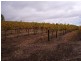 Sevenhill SA 5453