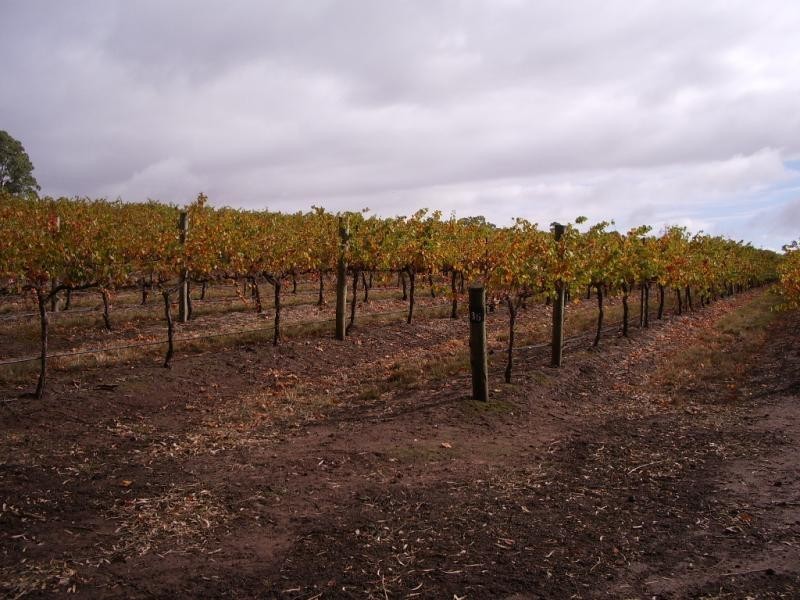 Sevenhill SA 5453