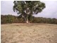 Sevenhill SA 5453