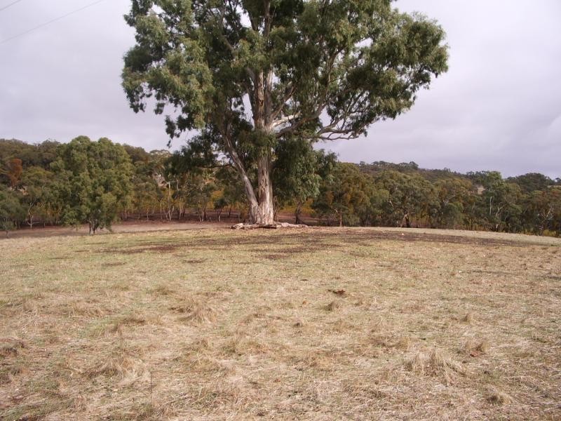 Sevenhill SA 5453