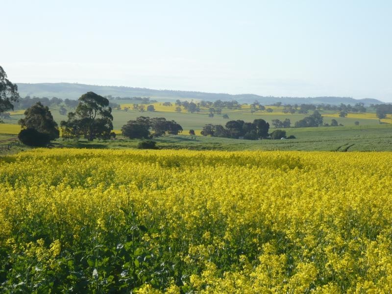 345ha HALLS 852.56 acs, Auburn SA 5451