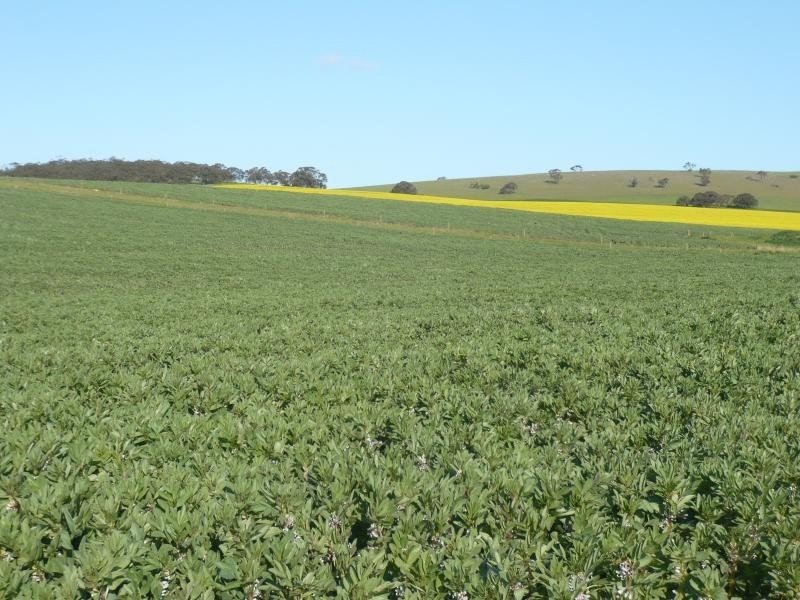 345ha HALLS 852.56 acs, Auburn SA 5451