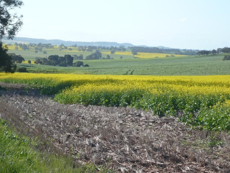 345ha HALLS 852.56 acs, Auburn SA 5451