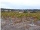 16HA SPRINGFARM VINEYARD 40 ACS, Spring Gully SA 5453