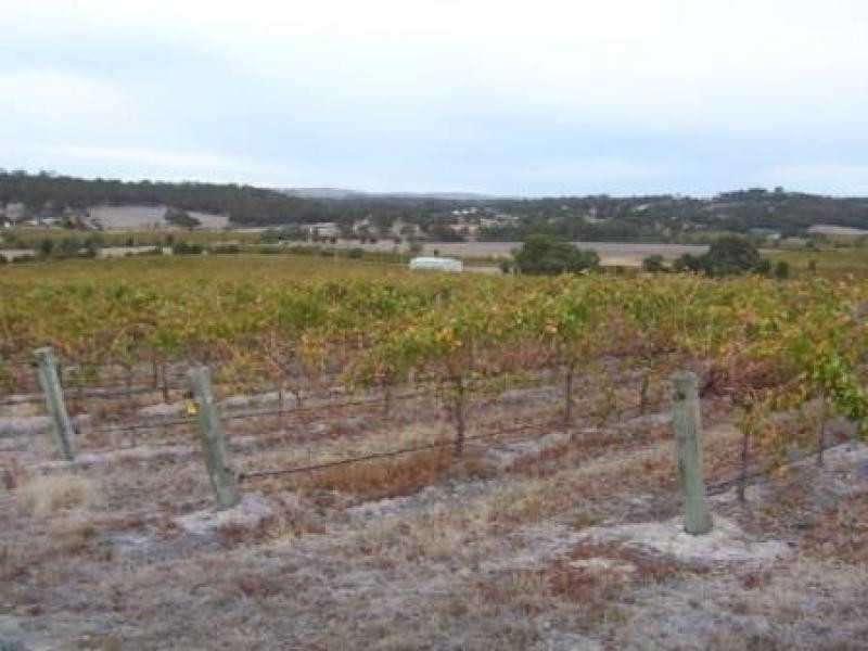 16HA SPRINGFARM VINEYARD 40 ACS, Spring Gully SA 5453