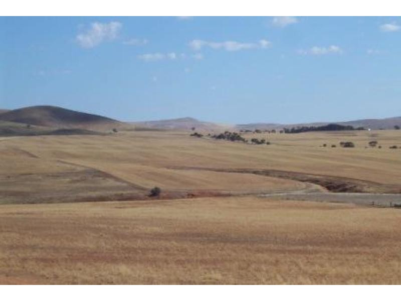 342 Wandillah Road, Burra SA 5417