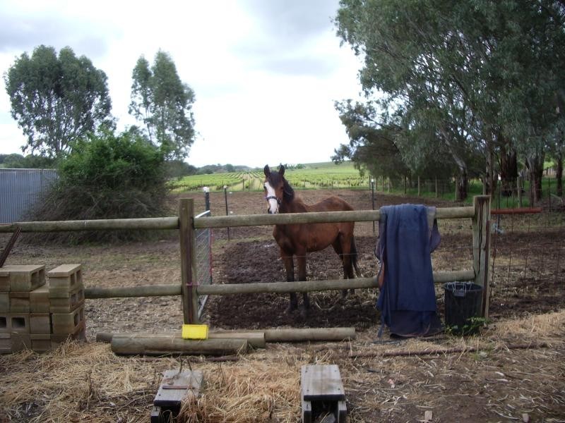 Lot 3 Main North Road, Leasingham SA 5452