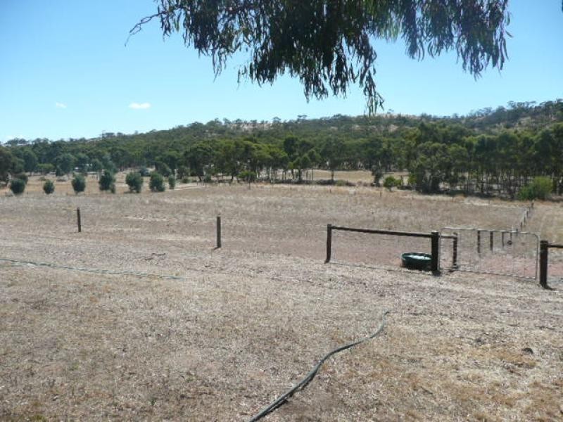Lot 6 Emu Flat Road, Clare SA 5453