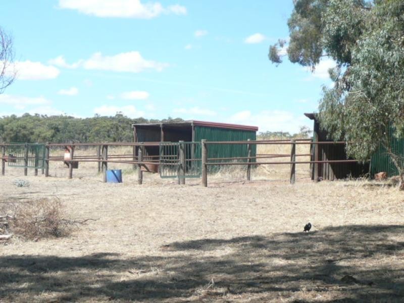 Lot 6 Emu Flat Road, Clare SA 5453