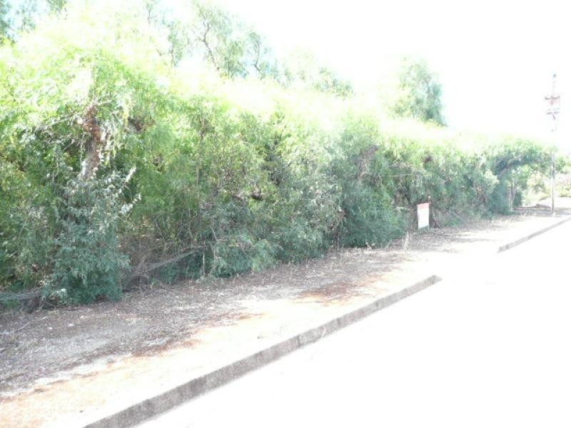 Lot 7 Henry Street, Auburn SA 5451