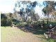 Bowmans Road (4.7 acs approx), Whitwarta SA 5461