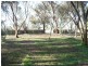 Bowmans Road (4.7 acs approx), Whitwarta SA 5461