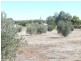 Lot 105/ Mill Lane, Auburn SA 5451