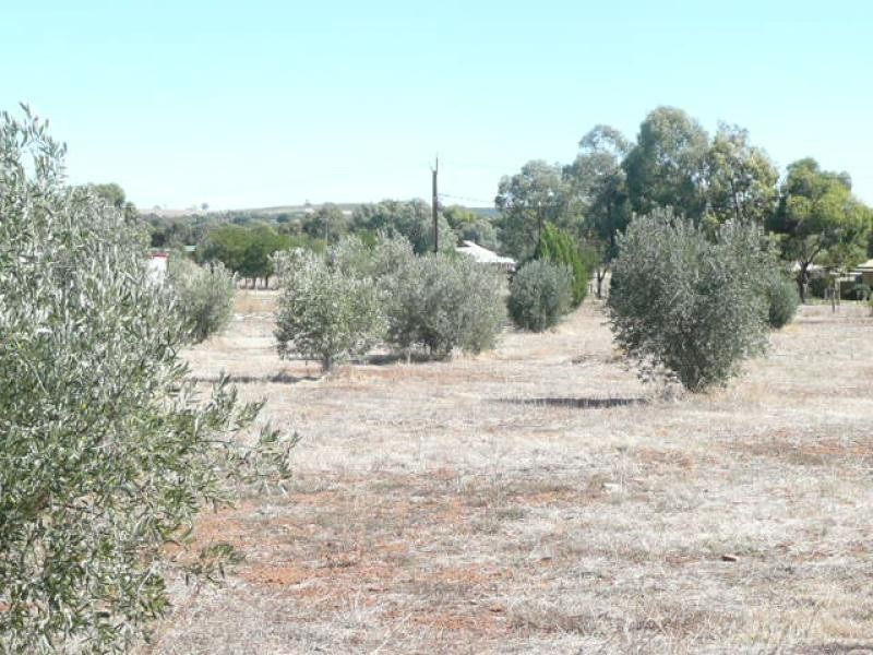 Lot 105/ Mill Lane, Auburn SA 5451