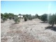 Lot 105/ Mill Lane, Auburn SA 5451