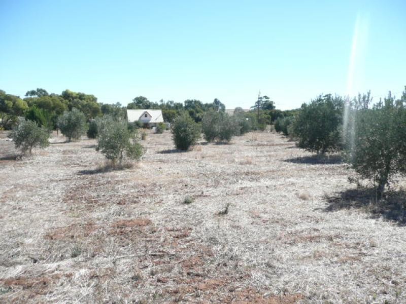 Lot 105/ Mill Lane, Auburn SA 5451