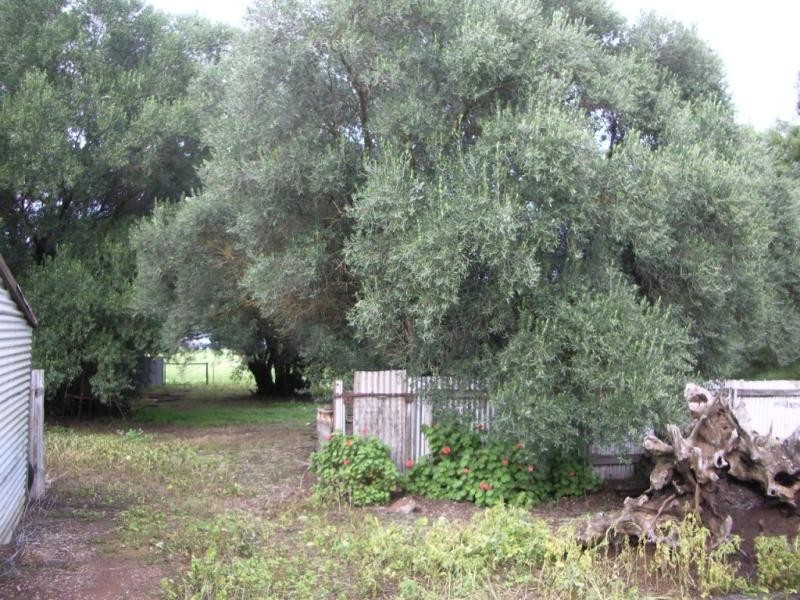 Lot 1/ John Street, Manoora SA 5414