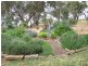 Section 513/ Lamkin Road, Auburn SA 5451