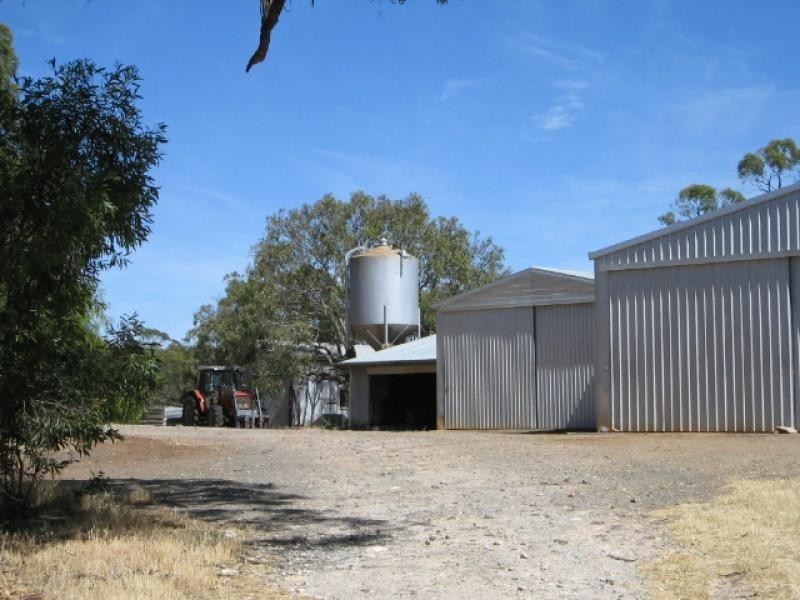 Section 513/ Lamkin Road, Auburn SA 5451
