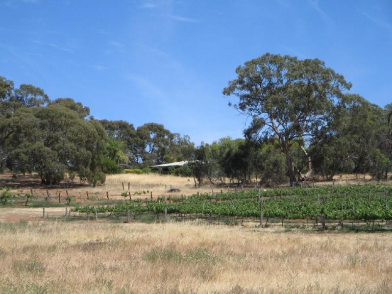 Section 513/ Lamkin Road, Auburn SA 5451