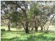 Section 513/ Lamkin Road, Auburn SA 5451