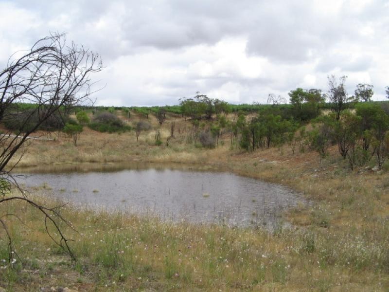 Section 513/ Lamkin Road, Auburn SA 5451