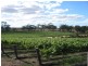 Section 513/ Lamkin Road, Auburn SA 5451