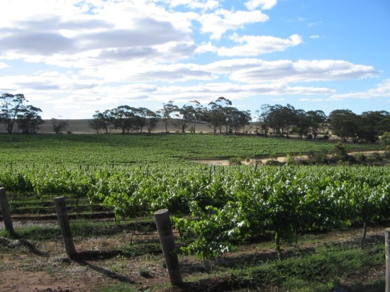 Section 513/ Lamkin Road, Auburn SA 5451