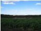 Section 513/ Lamkin Road, Auburn SA 5451