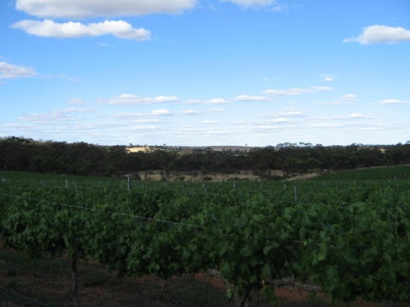 Section 513/ Lamkin Road, Auburn SA 5451