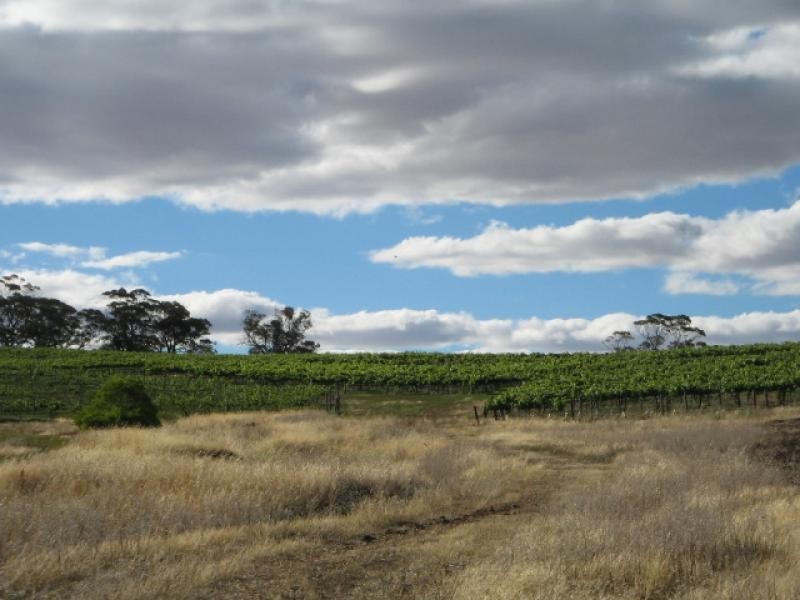 Section 513/ Lamkin Road, Auburn SA 5451