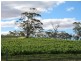 Section 513/ Lamkin Road, Auburn SA 5451
