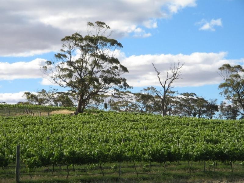 Section 513/ Lamkin Road, Auburn SA 5451