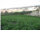 Section 513/ Lamkin Road, Auburn SA 5451