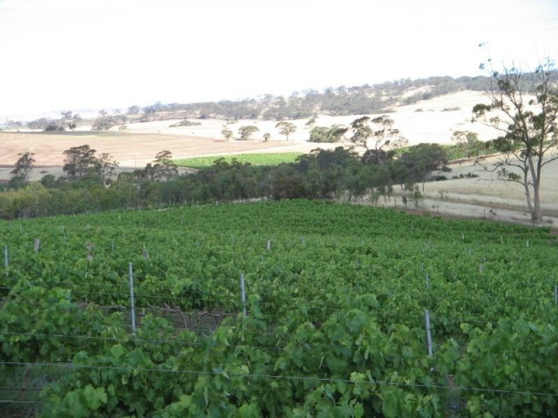 Section 513/ Lamkin Road, Auburn SA 5451