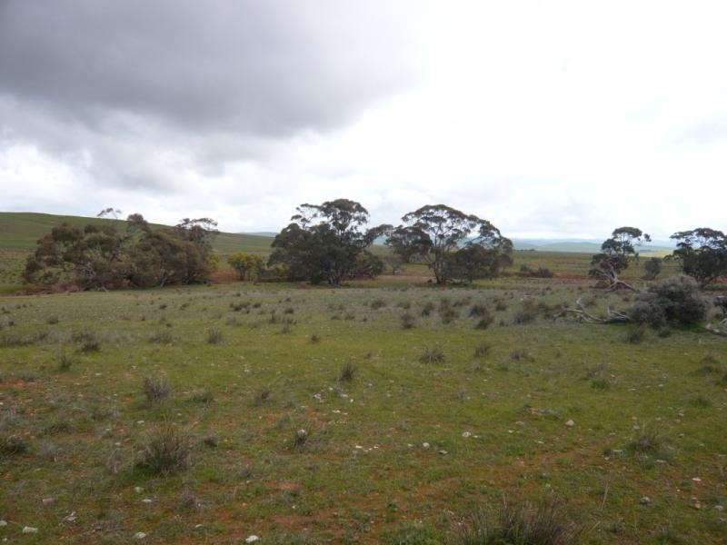 1919ha Cappeedee 4742.12 acs, Hallett SA 5419