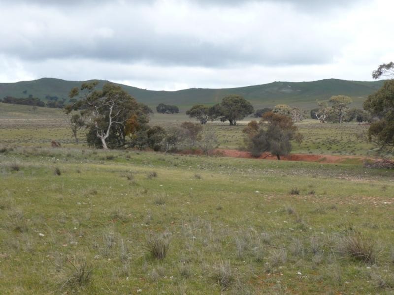 1919ha Cappeedee 4742.12 acs, Hallett SA 5419