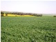 150.5ha Shanes 372 acs, Spalding SA 5454