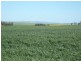150.5ha Shanes 372 acs, Spalding SA 5454
