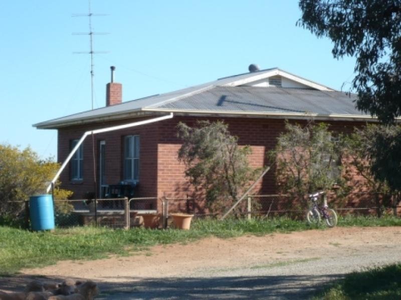 150.5ha Shanes 372 acs, Spalding SA 5454