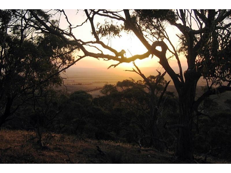 Lot 4/ Spring Gully Rd, Clare SA 5453