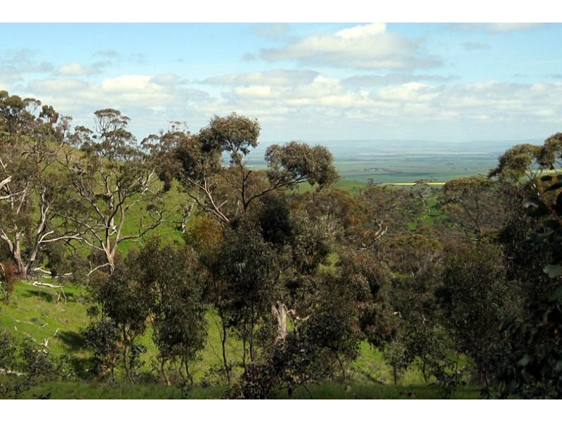 Lot 4/ Spring Gully Rd, Clare SA 5453