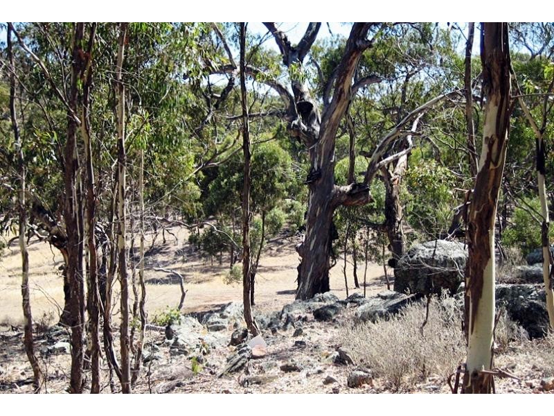 Lot 4/ Spring Gully Rd, Clare SA 5453