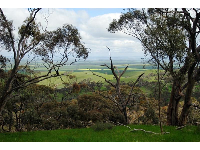 Lot 4/ Spring Gully Rd, Clare SA 5453
