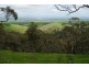 Lot 4/ Spring Gully Rd, Clare SA 5453