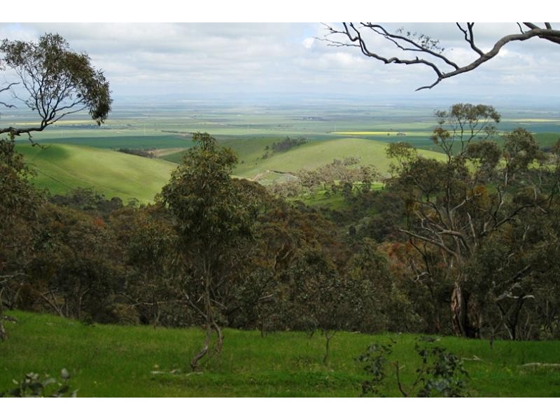 Lot 4/ Spring Gully Rd, Clare SA 5453
