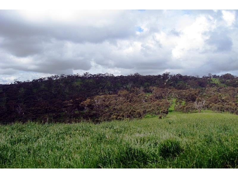 Lot 4/ Spring Gully Rd, Clare SA 5453