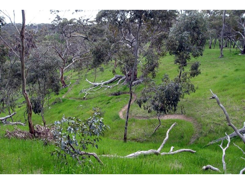 Lot 4/ Spring Gully Rd, Clare SA 5453