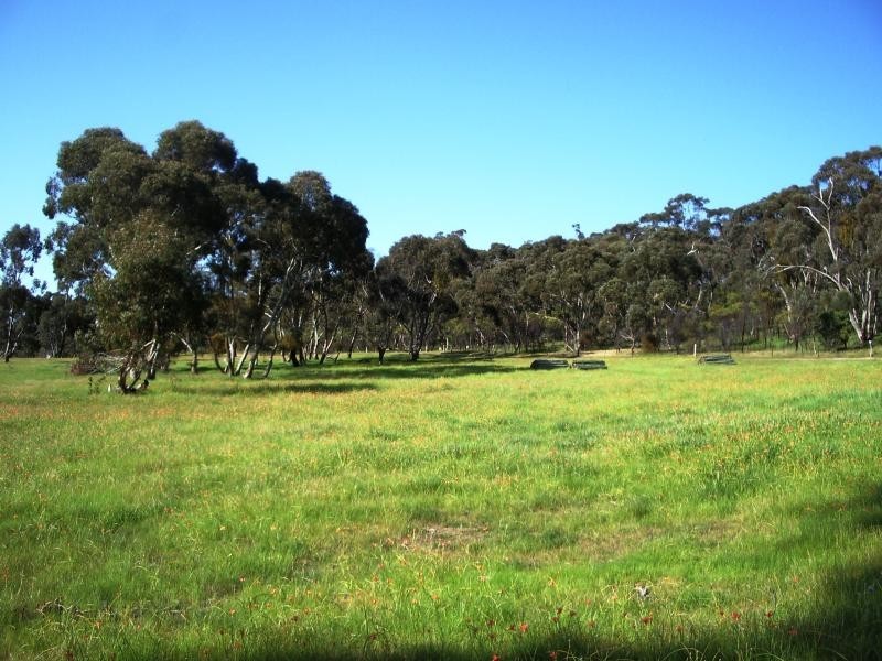 40 ACS, Sevenhill SA 5453