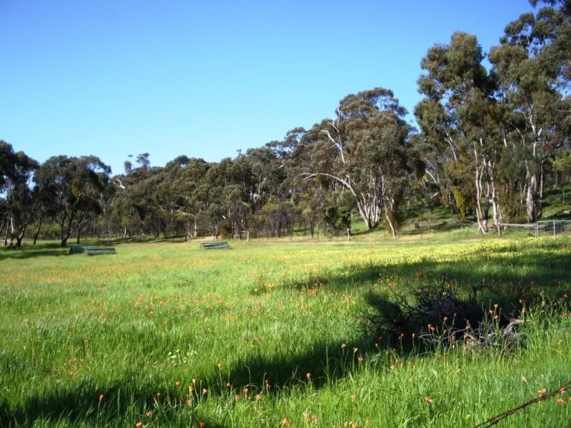 40 ACS, Sevenhill SA 5453